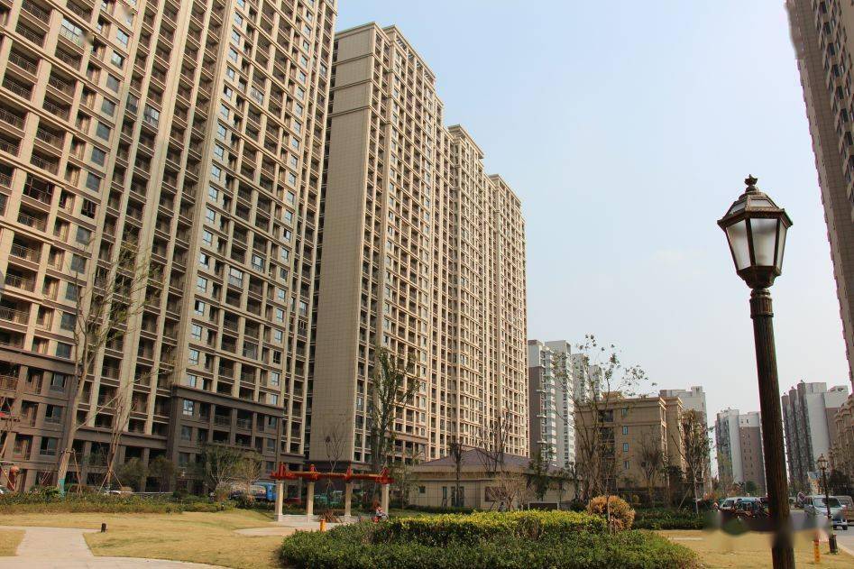 我的睢宁我的城丨"城长"的高度