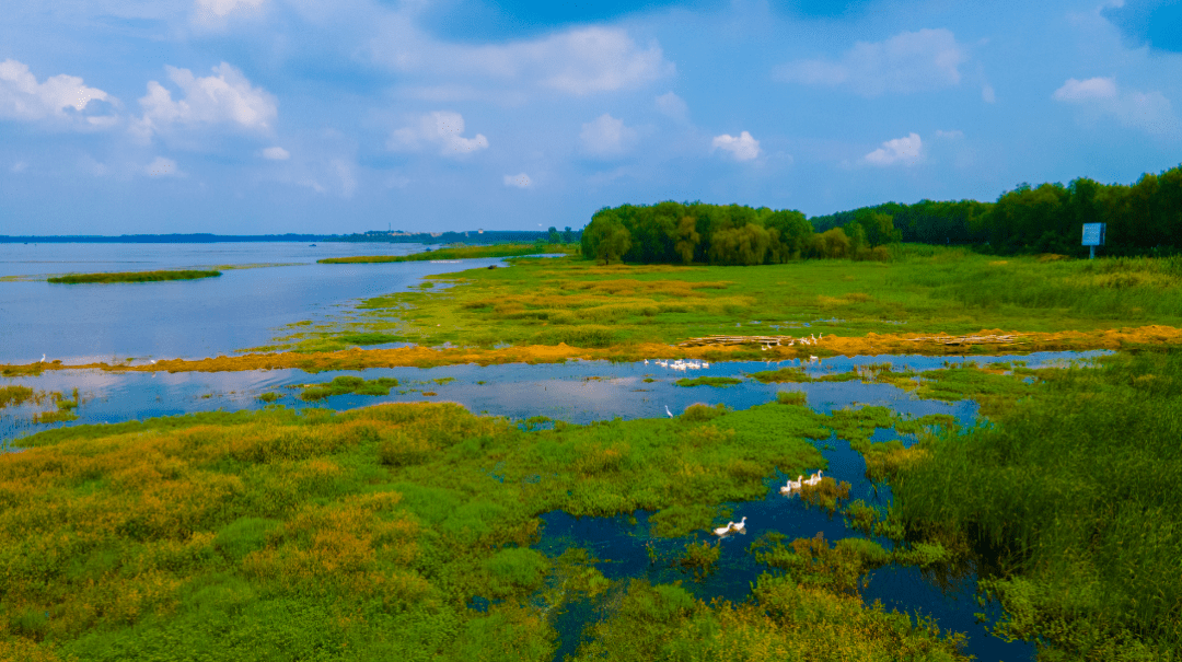 国庆特辑攻略假期乐悠悠畅快游湖滨