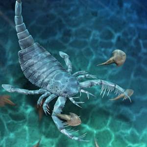 我国科学家发现43亿年前的海蝎子