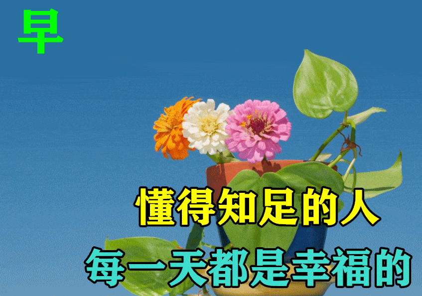 6e42e8c329a8496f969ec6eacf6f06e5.gif