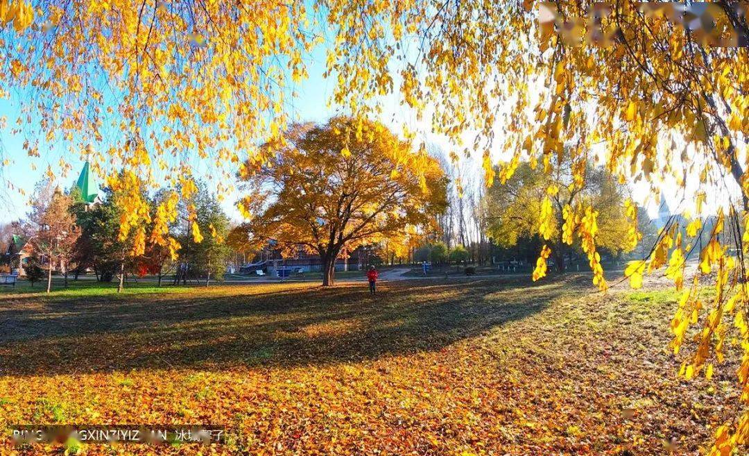 哈尔滨的秋色在这里