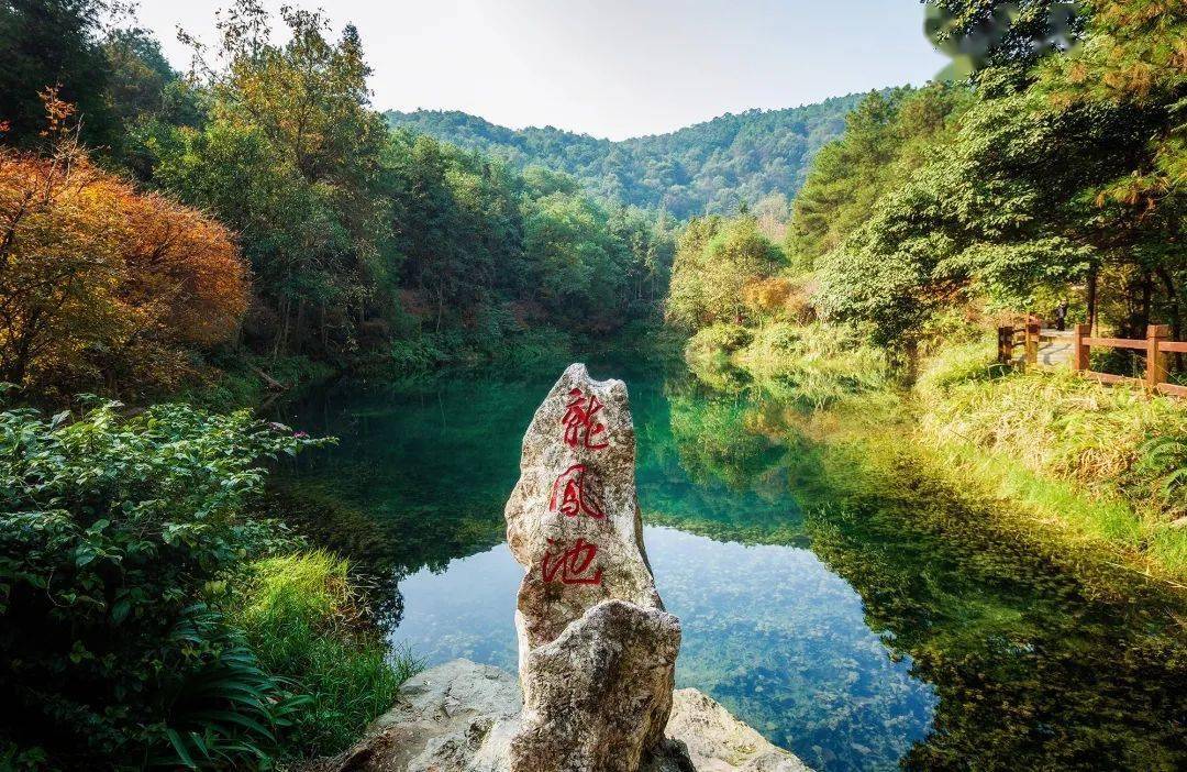 不必远行 这里也有让你心仪的动人风景~ 九凤山生态度假区 九凤山生态