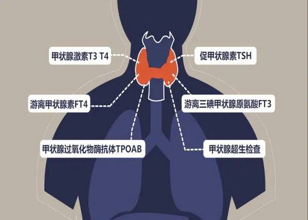 控制|杭州一美女主播秒变“更年期”，竟是因为这种病