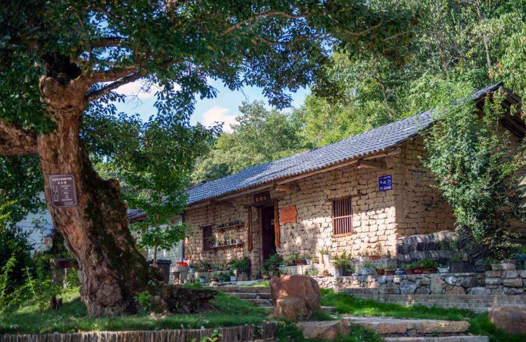 乡约京山——这里!乡村产业红红火火_杨集镇