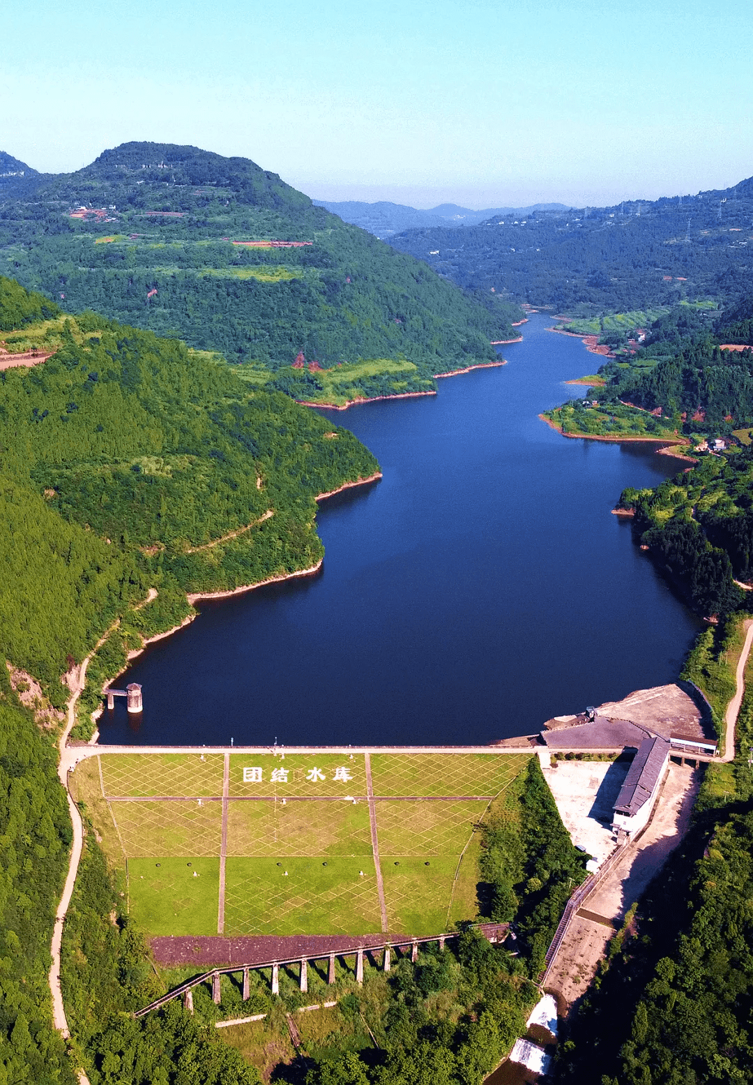 江源村沱江水中金堂的绿村民丰收的油橄榄果是淮口街道龚家村金堂的