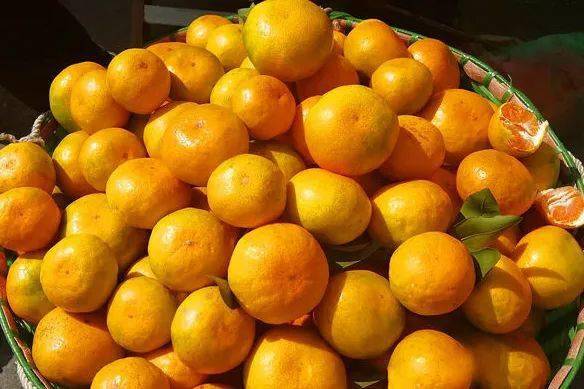 《【摩登平台注册网址】乐游台州丨您点的蜜橘正在来的路上，请先来收好这份“吃橘地图”~ ... 旅游》