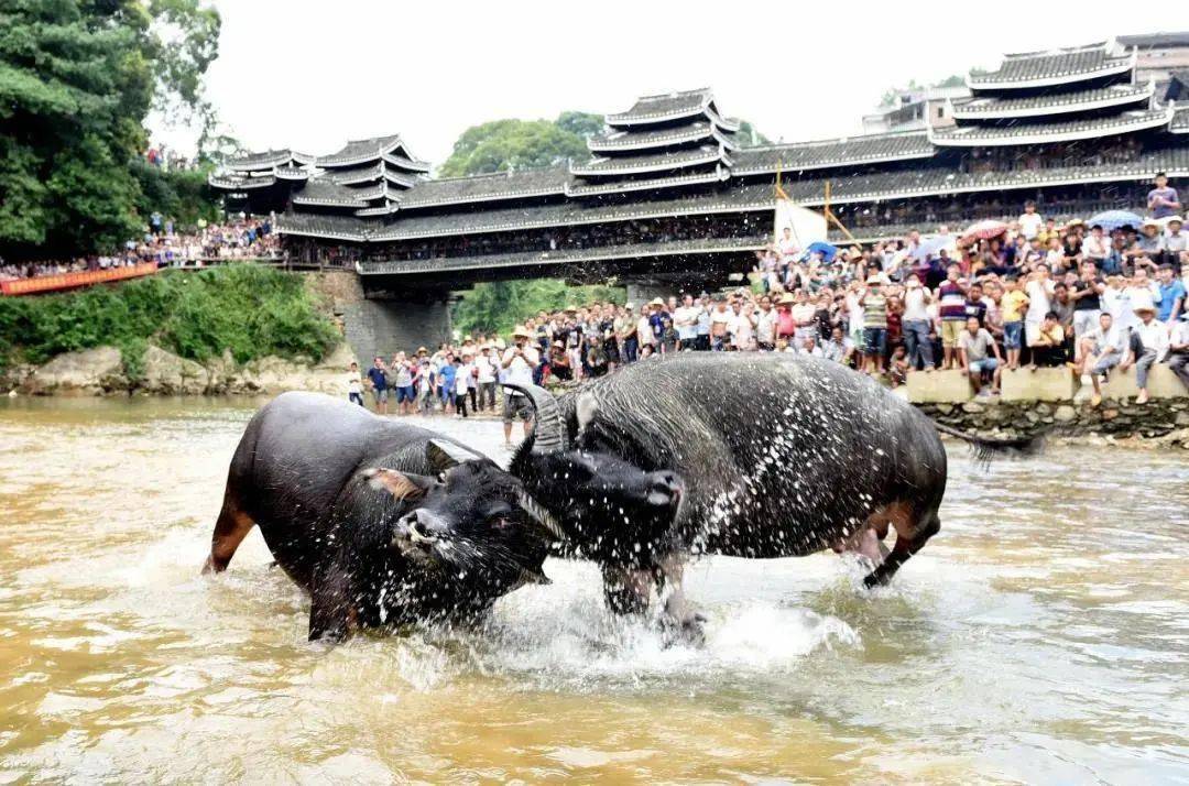 侗族风情有多美来了三江你就懂了