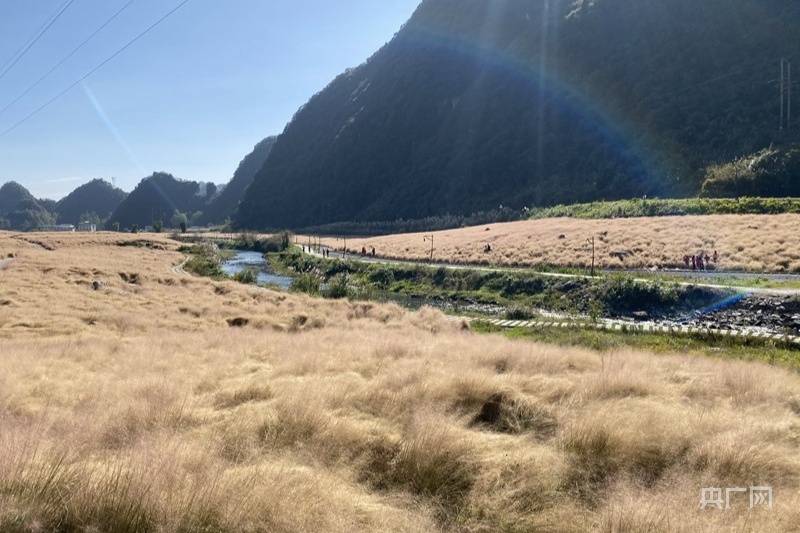 游客|贵州：农旅结合赋能乡村振兴