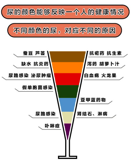 但是有可能会尿出"彩虹尿"人放不出"彩虹屁"03让尿液冲刷尿道就是多