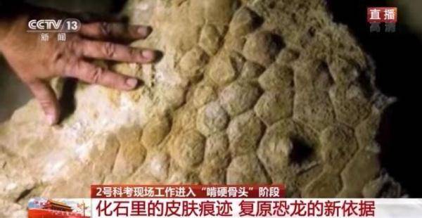 侏罗纪|云南禄丰恐龙科考工作进入“啃硬骨头”阶段 恐龙化石是如何修复的呢？