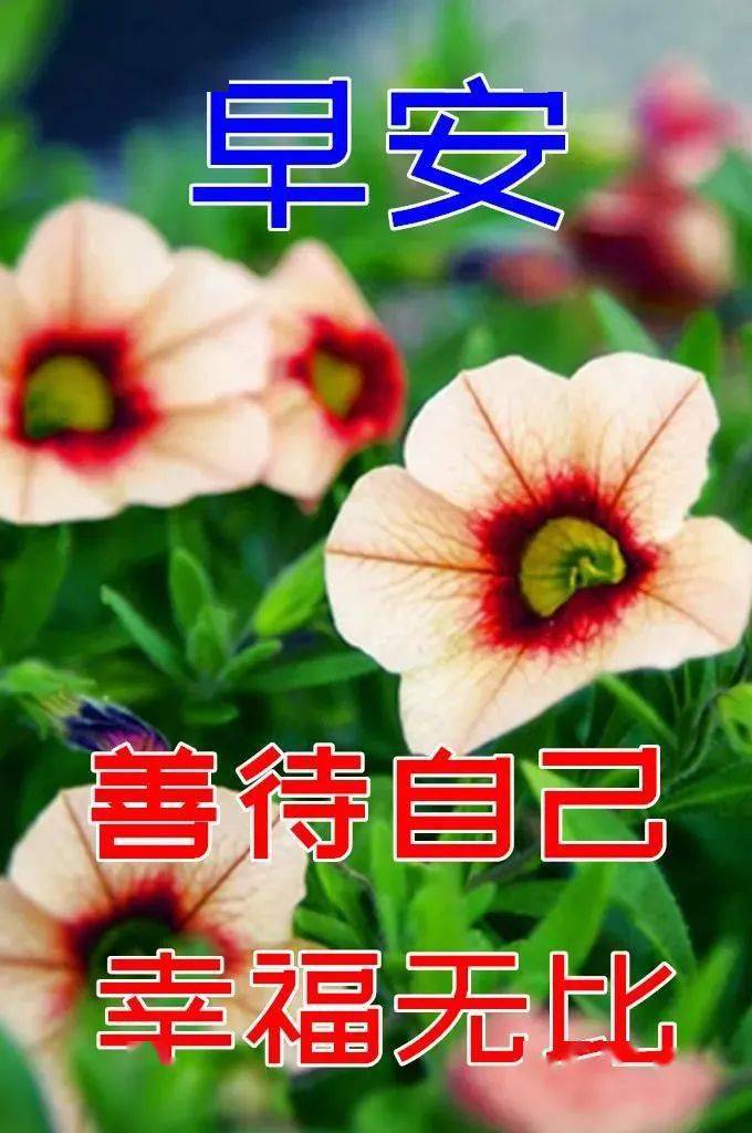 10月6日最漂亮的鮮花早上好動態圖片大全美景早上好動態問候語