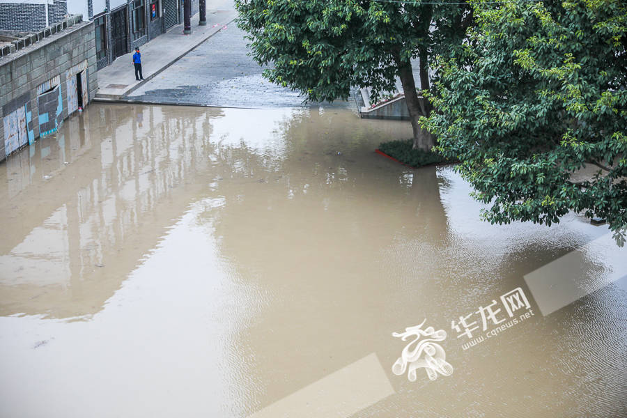 洪水临近磁器口景区低洼地区街道.华龙网记者 李裕锟 摄