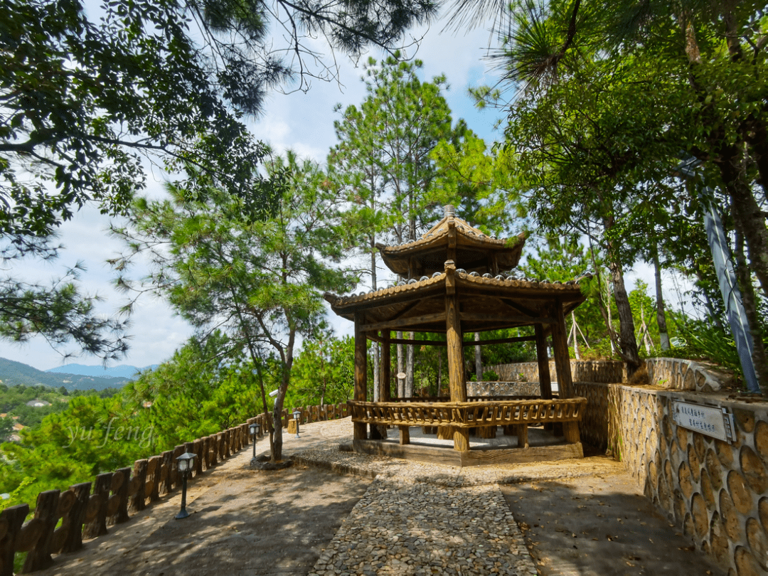 丰顺这个新公园惊艳亮相有望远镜茅草亭老年人步道