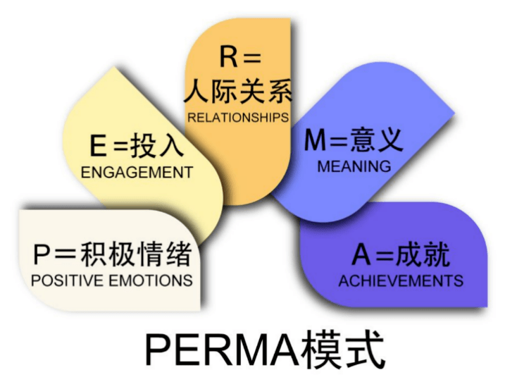 找到居家学习的幸福感你知道什么是perma吗