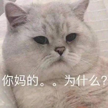 037e4e49498240c4ba82fc0dba0939f2.jpeg
