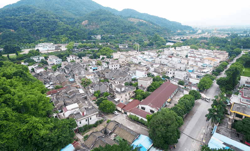 檀香山稻糖业巨子杨著昆皆是出自于此许多爱国爱乡的有志之士文化灿烂