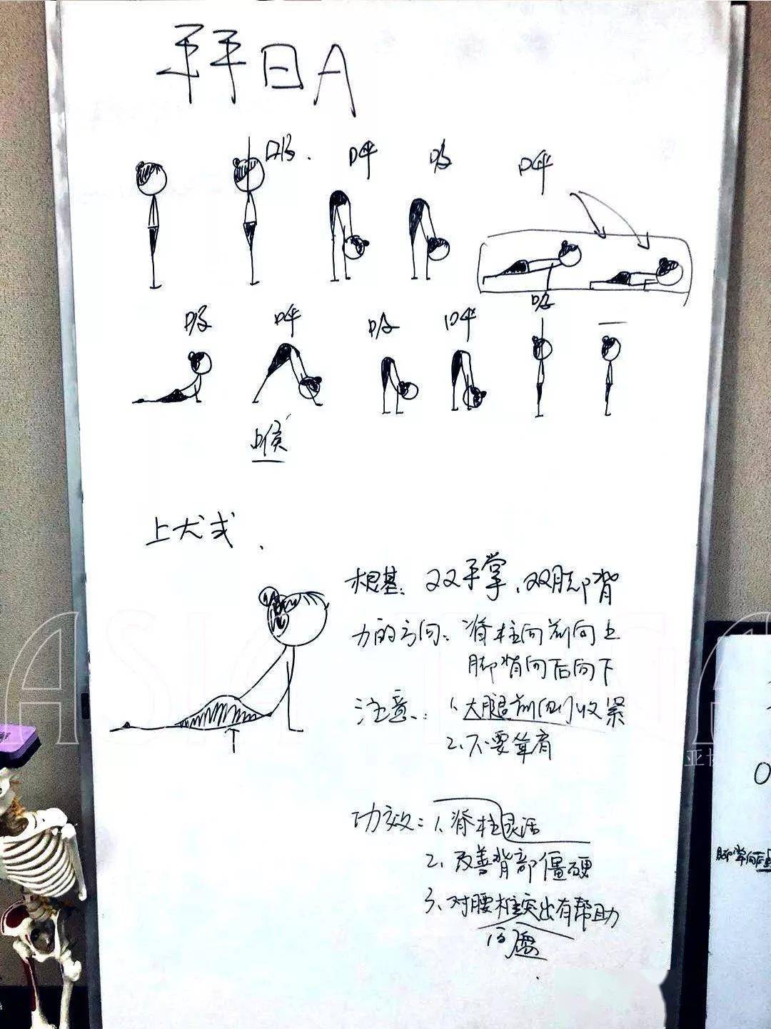 瑜伽人必备小人图大全:4大类,200 瑜伽小人体式图!超实用笔记!