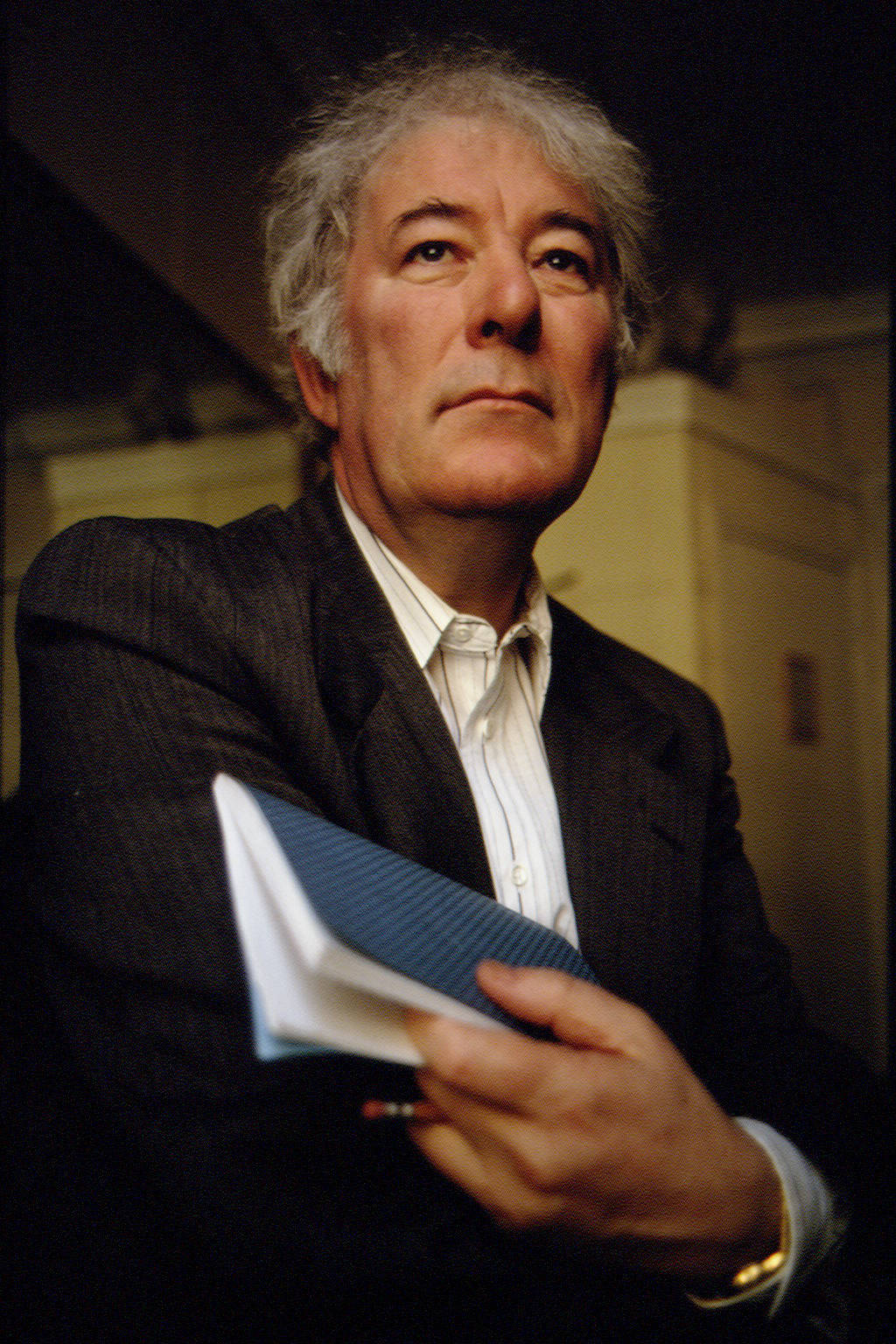 1995年,爱尔兰诗人谢默斯·希尼(seamus heaney(陈黎 张芬龄 译)