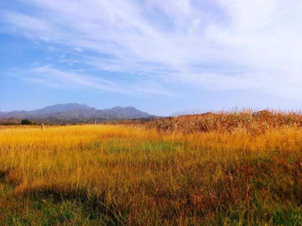 乌鲁木齐市|寒露至，秋更浓，幸福不过有人为你添衣