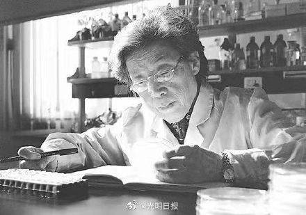 根瘤菌|土壤微生物学家陈文新院士逝世