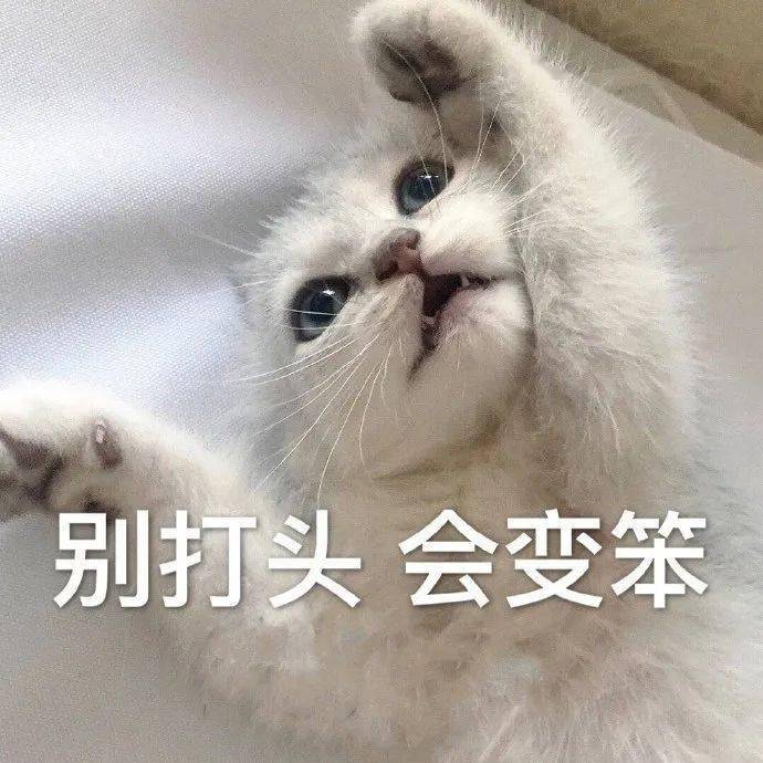 我和我的小伙伴惊呆了简谱_我和小伙伴都惊呆了图