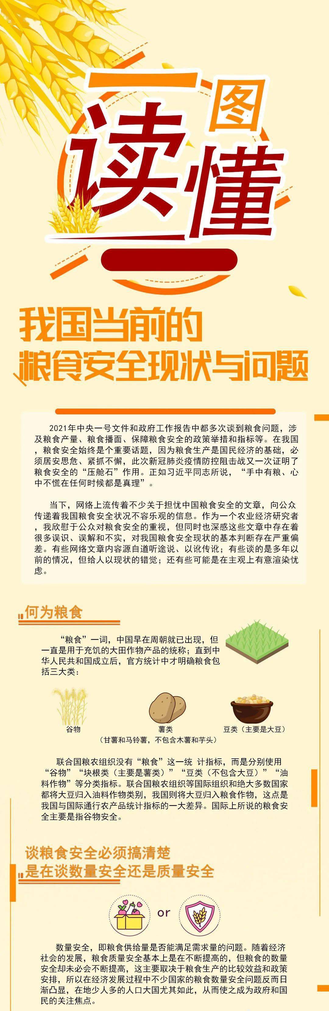 一图读懂我国当前的粮食安全现状与问题