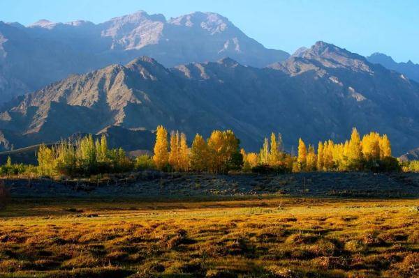 乌鲁木齐市|寒露至，秋更浓，幸福不过有人为你添衣