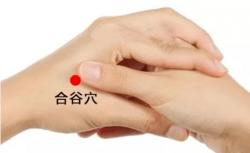 饮食|寒露到！专家教你这样养生