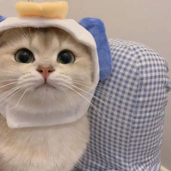 微信头像非常喜爱