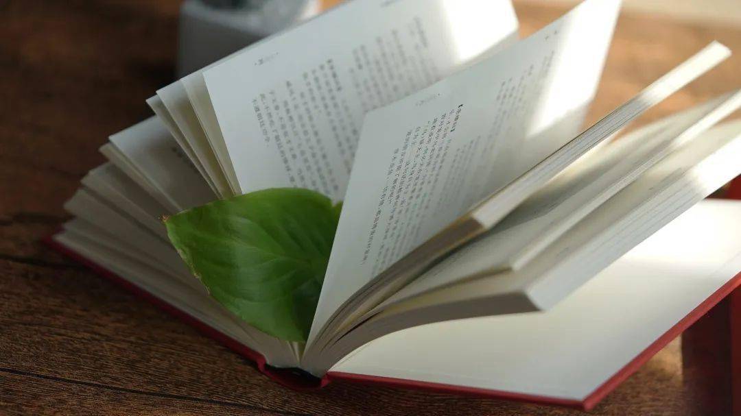 让钱钟书、杨绛都愿为其作序的大师之作——念楼学短：孩子学会古文的必读