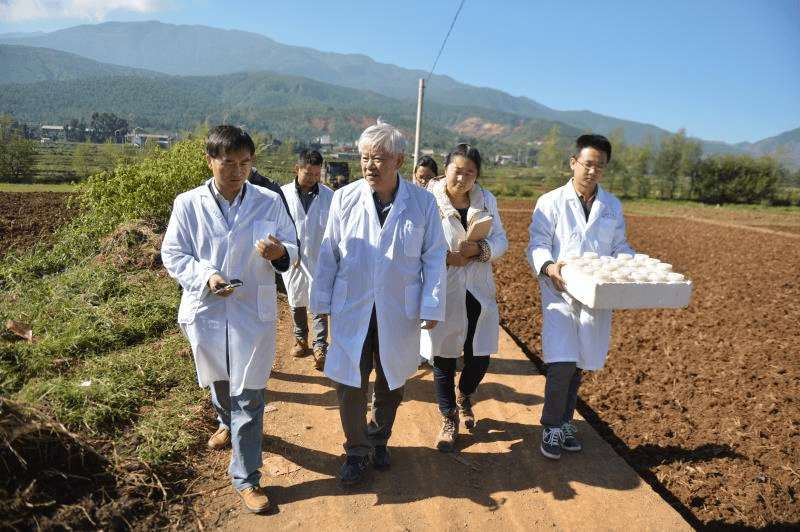 治理|上海交大这支黄大年式教师团队把科研论文写在祖国大地上