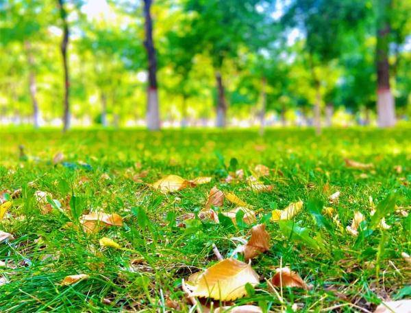 乌鲁木齐市|寒露至，秋更浓，幸福不过有人为你添衣