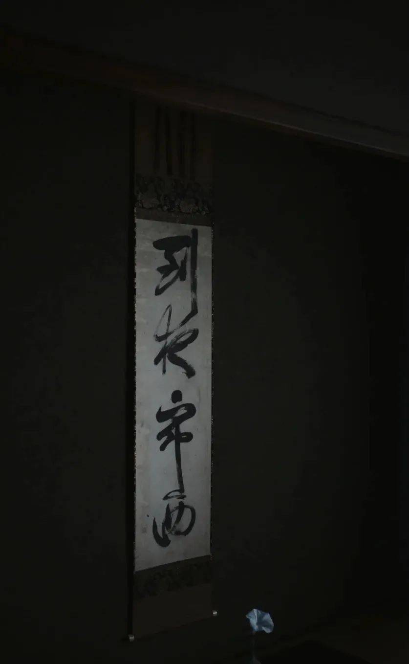 ffdd7a2b3281469496a7544a54f8c3da.jpeg