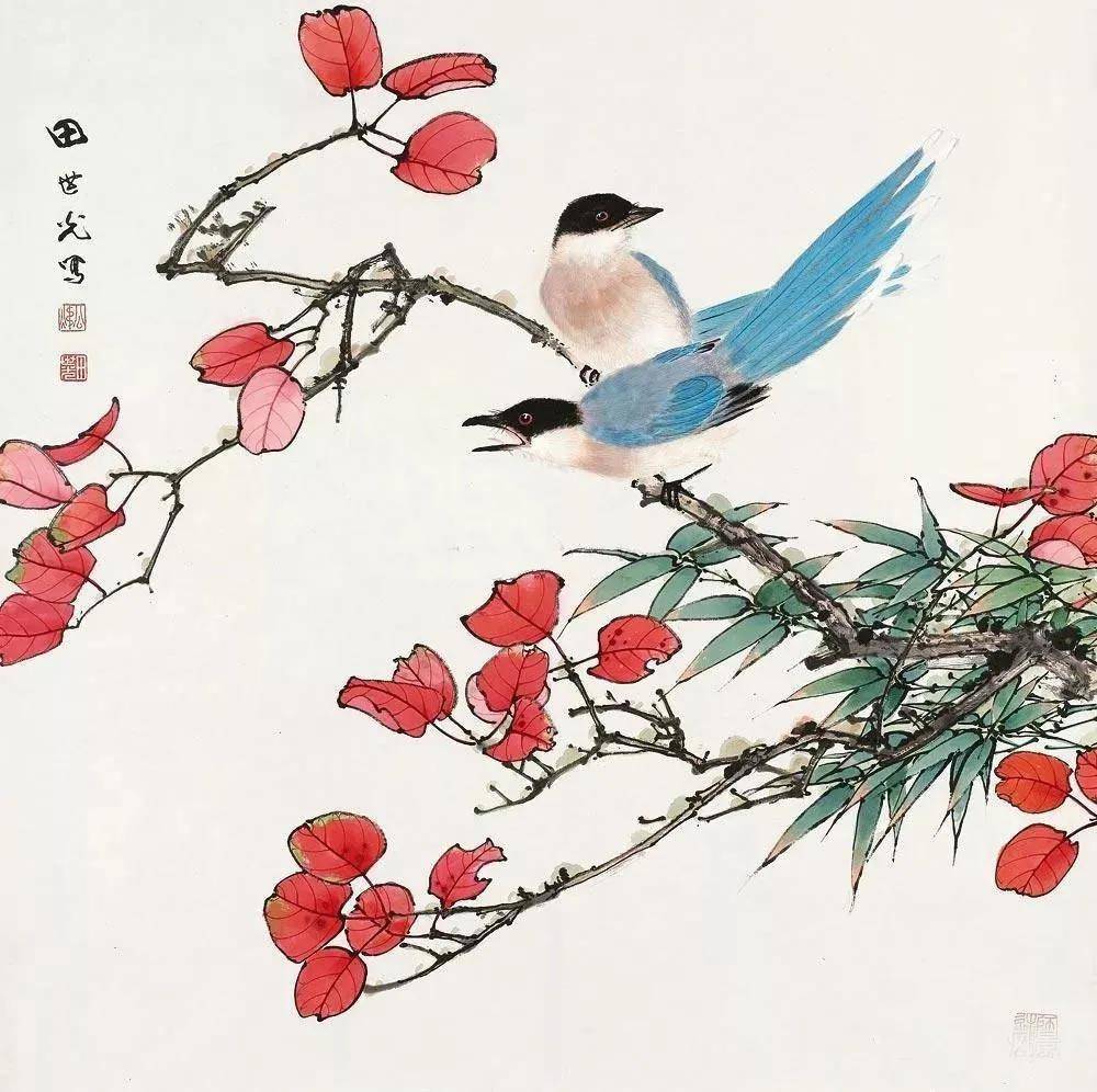 田世光花鸟欣赏