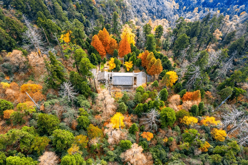 坐落于临安区南天目森林公园入口的潭心谷,到秋意渐浓时,空气里满是