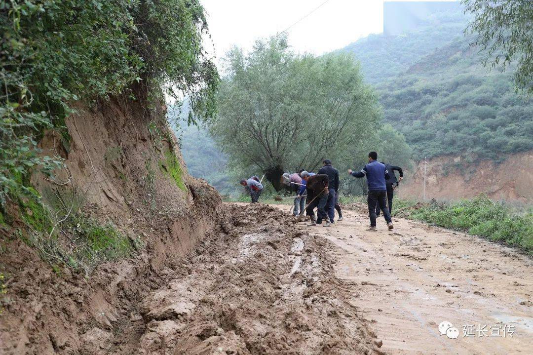 安沟镇:不等不靠 积极开展生产自救_道路