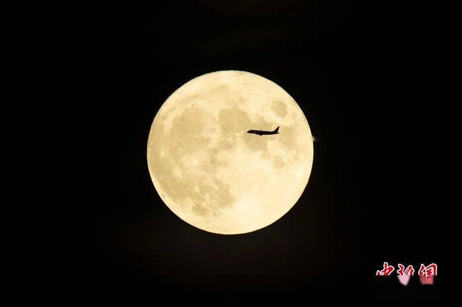 女士|格局越大的人，越懂得“藏”的智慧