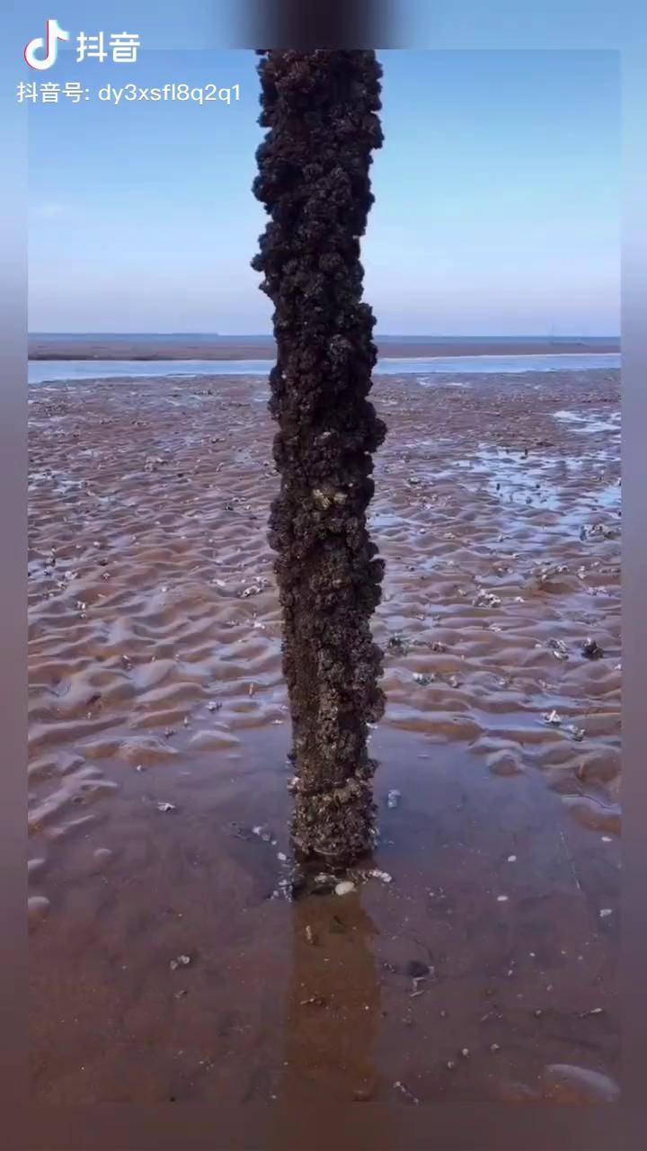 刷屏专用定海神针图图片