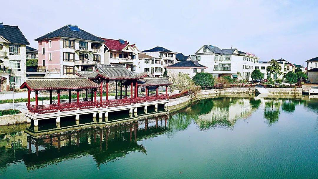 双浦镇:藏在"口袋"里的乡村小康画卷