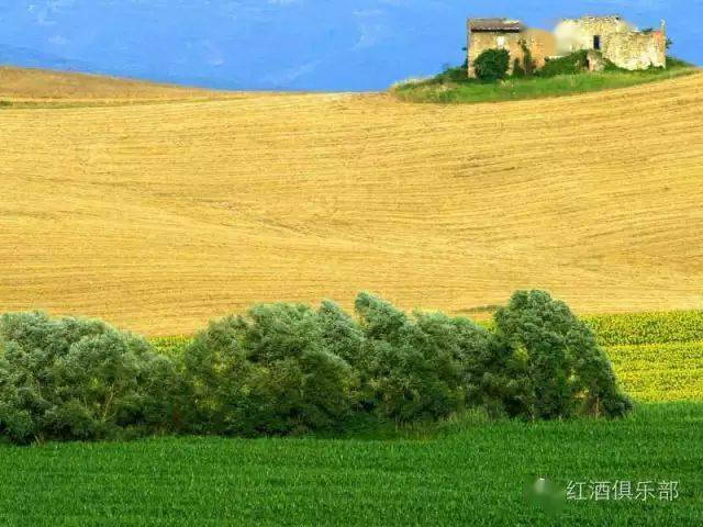 图片|世界上最值得去的五大葡萄酒胜地