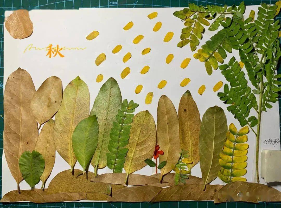 秋天的梧桐树落叶彩铅画|插画|创作习作|我想开了 - 原创作品 - 站酷 (ZCOOL)