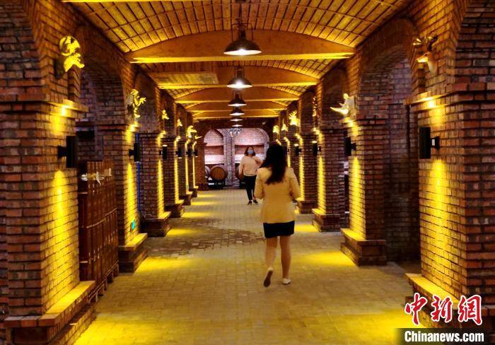 葡萄藤|新疆天山北麓葡萄藤上的“三产”融合