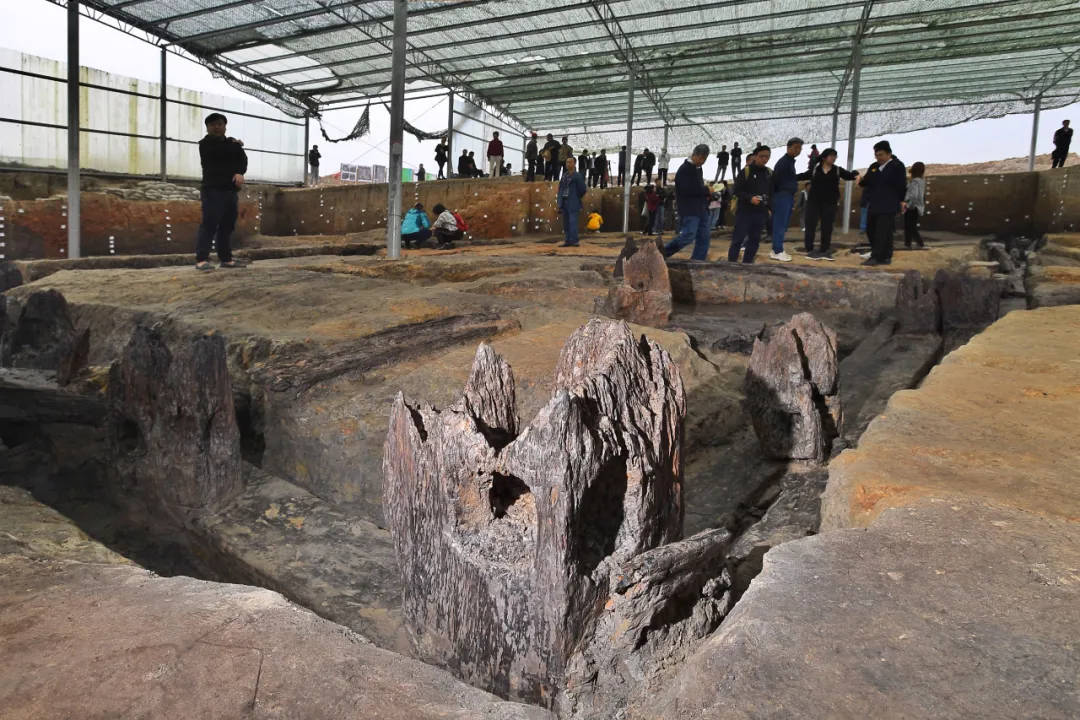澧阳平原这一重大考古发现,刷新长江中游文明进程