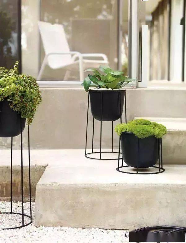 居家园艺丨你家需要一盆这样被抬高的绿植