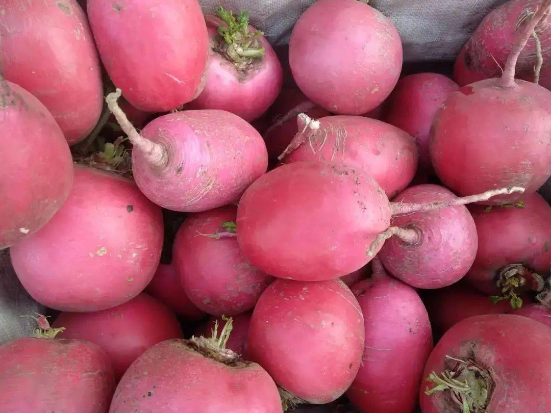 当然,要说它是一种菜,也不太公平,毕竟它还分为红萝卜,青萝卜,白萝卜