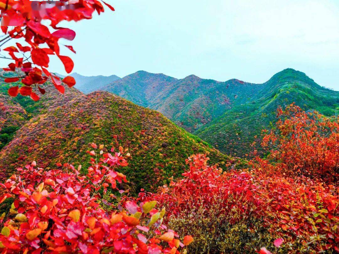 山里红风景照图片