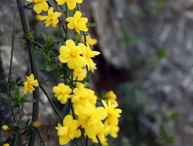 130�� · ������ͥ����ֲ������������֣�