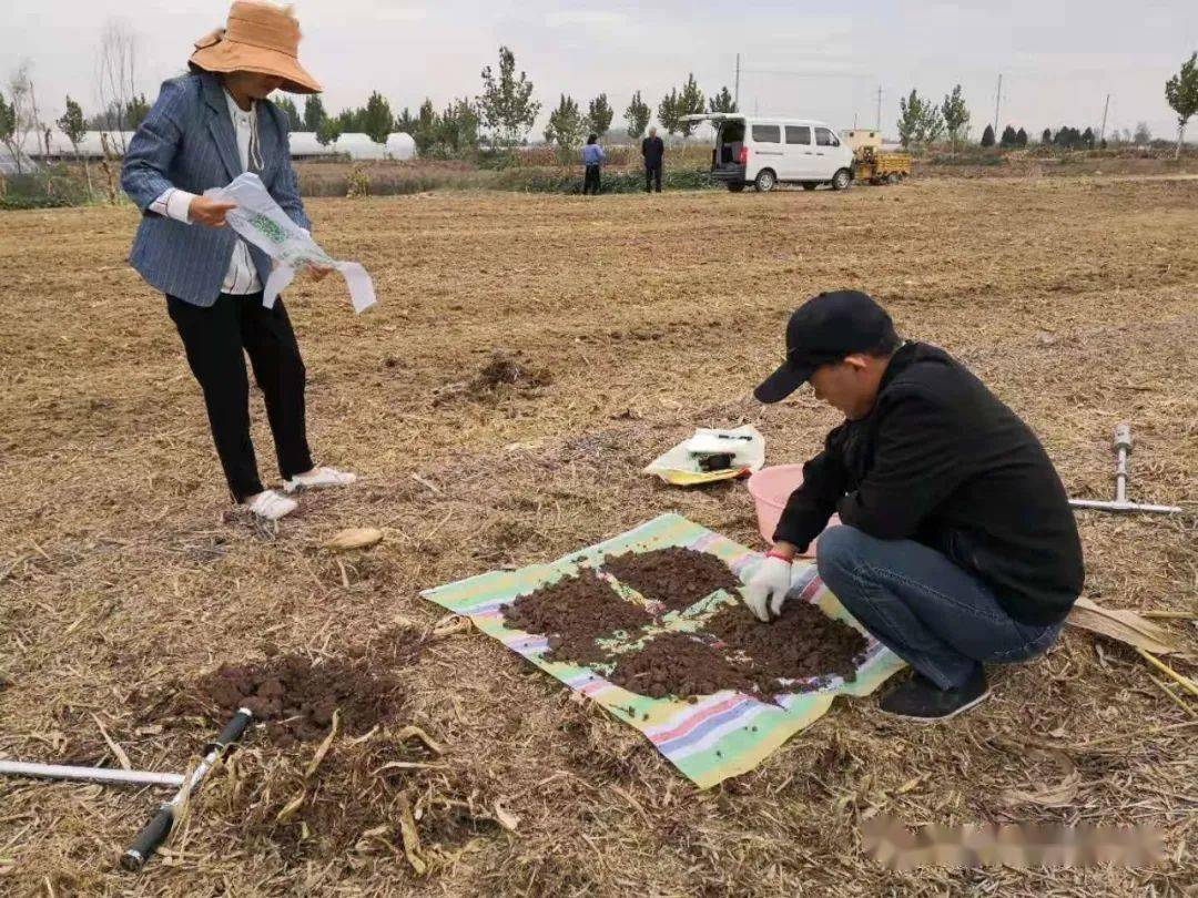 化肥价格行情解析：农业背后的趋势与选择