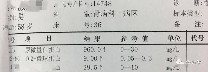 肾功能及其它主要生化指标