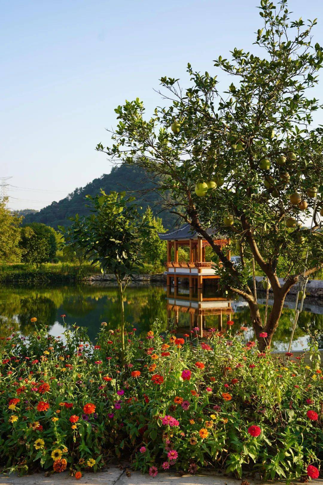 仿若梦回旧时,在范村寻回古村记忆_武义